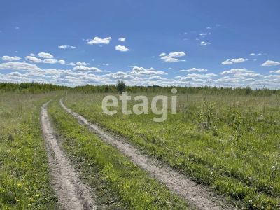 Лот: 25294368. Фото: 1. участок , деревня Верхняя Есауловка... Земельные участки