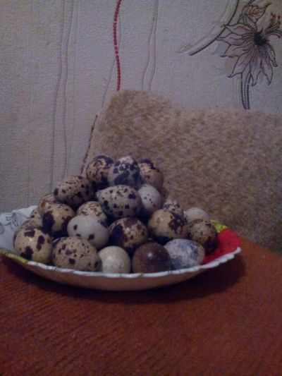 Лот: 7853264. Фото: 1. яйца перепелов инкубационное. Птицы