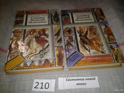 Лот: 7998624. Фото: 1. Сыновья Большой Медведицы (к-кт... Художественная