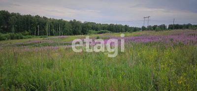 Лот: 20891689. Фото: 1. Продам участок 10 сот. Новосибирское... Земельные участки
