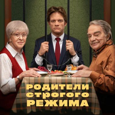 Лот: 24291538. Фото: 1. Родители строгого режима. Видеозаписи, фильмы