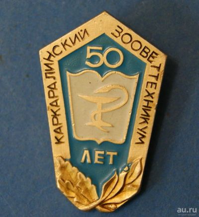 Лот: 9662646. Фото: 1. Значок " 50 лет " ( № 3545 ). Юбилейные
