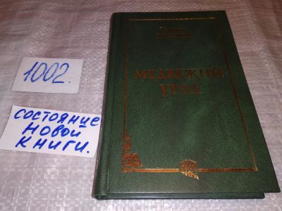 Лот: 15278159. Фото: 1. оз...(16..09) Медвежий угол, Тамара... Художественная