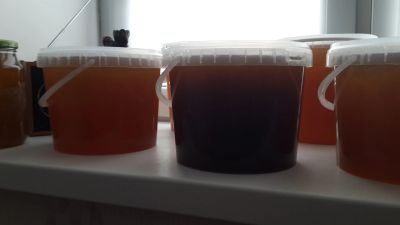 Лот: 12077745. Фото: 1. Алтайский мёд. Мёд, продукты пчеловодства