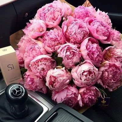 Лот: 9451739. Фото: 1. ПИОНЫ из Голландии. Свежие цветы