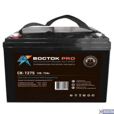 Лот: 14830463. Фото: 1. Аккумулятор для ИБП Восток СК... Аккумуляторы