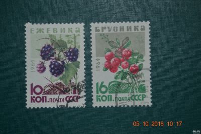 Лот: 12626056. Фото: 1. Марки СССР 1964г. из серии Ягоды. Марки