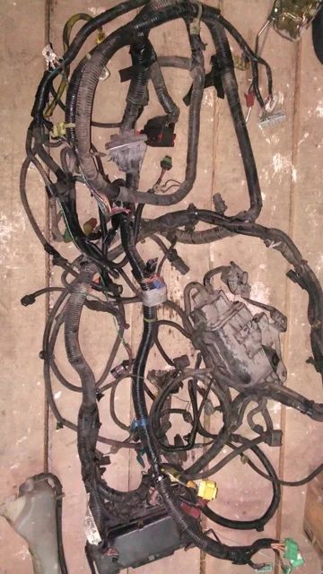 Лот: 6161503. Фото: 1. Проводка (коса) подкапотная Honda... Другое (автозапчасти)
