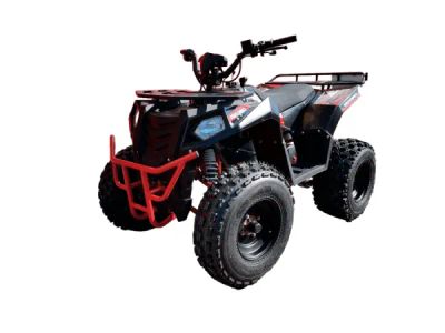 Лот: 25363083. Фото: 1. Квадроцикл ATV Commander 200. Снегоходы, квадроциклы