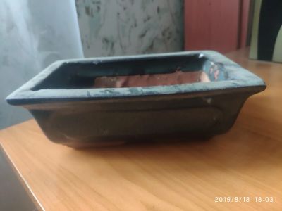 Лот: 14387987. Фото: 1. Бонсайница 2. Кашпо, горшки, вазоны для цветов