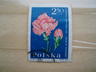 Лот: 21421037. Фото: 1. Ретро Марка: Polska. 1964 год... Марки