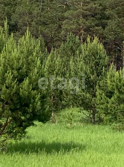 Лот: 25581230. Фото: 1. участок , ДНТ Пересвет ДНТ Пересвет... Земельные участки