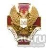 Лот: 13599334. Фото: 1. Значок мет. ДМБ пора домой (красн... Обмундирование