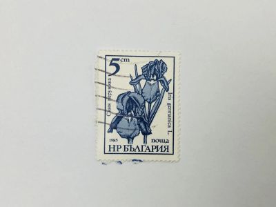 Лот: 23314161. Фото: 1. Садовые цветы. Ирис германский... Марки