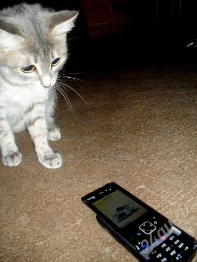 Лот: 197767. Фото: 1. nokia n 95. Смартфоны
