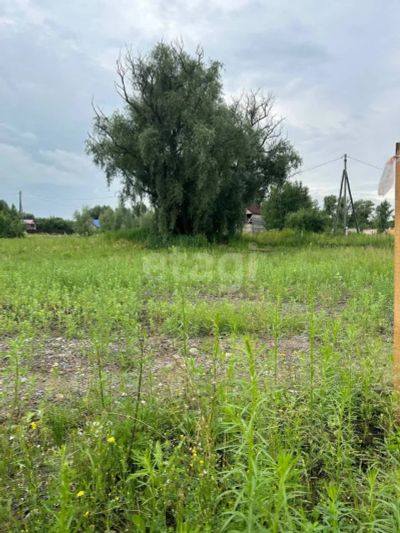 Лот: 25295545. Фото: 1. участок , село Есаулово село Есаулово... Земельные участки