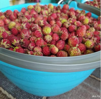 Лот: 17878492. Фото: 1. Лесная клубника урожай 2024🍓. Ягоды, орехи