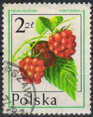 Лот: 25169364. Фото: 1. 1977. Польша. Лесные фрукты. н... Марки