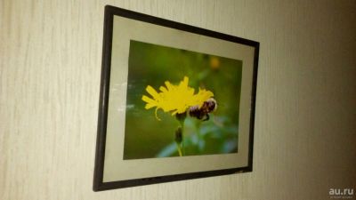 Лот: 13388866. Фото: 1. Картина для интерьера Пчела у... Картины, гравюры