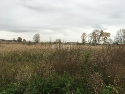 Лот: 25292621. Фото: 1. участок , Сосновоборск Сосновоборск... Земельные участки