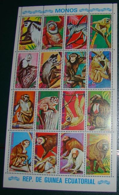 Лот: 10456676. Фото: 1. Гвинея Экваториальная 1975 MNH... Марки