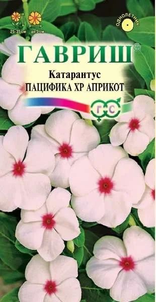 Лот: 11025131. Фото: 1. Катарантус Пацифика XP Априкот... Садовые цветы