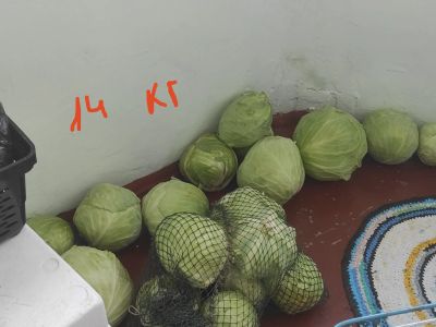 Лот: 24073955. Фото: 1. капуста 14 кг. Овощи
