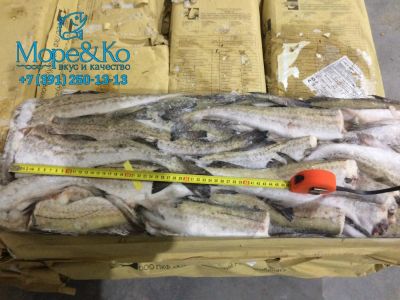 Лот: 11305387. Фото: 1. Минтай средний 25+ БГ с/м 1/22... Икра, рыба, морепродукты