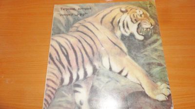 Лот: 19010246. Фото: 1. " Тигрёнок р-р-р " большая пластинка. Аудиозаписи