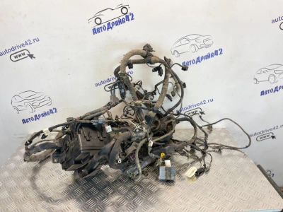 Лот: 21703490. Фото: 1. проводка подкапотная Hyundai Elantra... Двигатель и элементы двигателя