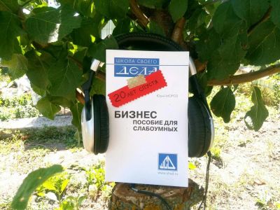 Лот: 12033698. Фото: 1. Аудиокнига "Бизнес. Пособие для... Другое (бизнес)