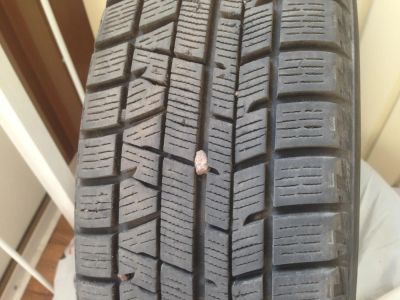Лот: 8275799. Фото: 1. Зимние шины Yokohama Ice Guard... Шины