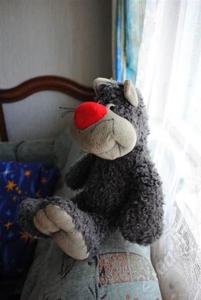Лот: 585585. Фото: 1. Кот. Другое (дети растут)
