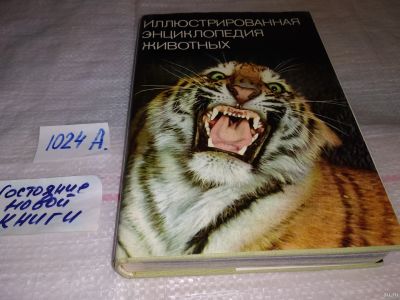 Лот: 14342135. Фото: 1. ок...(2092312)Фиштейн Ефим, Станек... Энциклопедии