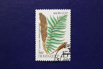 Лот: 6855879. Фото: 1. Почтовая марка №4062 в коллекцию. Марки