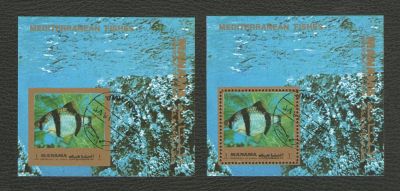 Лот: 15932181. Фото: 1. 1972 год. ОАЭ. Манама. Два Блока... Марки
