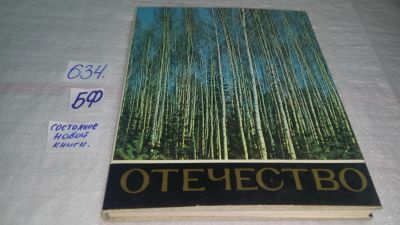 Лот: 10823004. Фото: 1. ок (32..01) Отечество, Василий... Изобразительное искусство