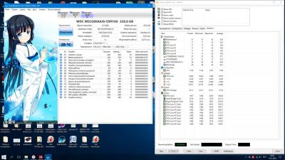 Лот: 10874177. Фото: 1. 320gb SATA 3.5" wd3200aajs-55ryao... Жёсткие диски (HDD)