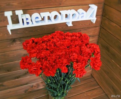 Лот: 8336573. Фото: 1. Цветы. Гвоздика, Доставка цветов... Свежие цветы