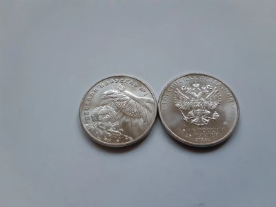 Лот: 19900310. Фото: 1. Антошка - Веселая Карусель - 25... Россия после 1991 года