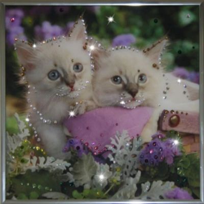 Лот: 21290721. Фото: 1. Картина Котята с кристаллами Swarovski... Другое (сувениры, подарки)