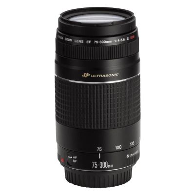 Лот: 3528736. Фото: 1. Объектив CANON EF 75-300mm f/4-5... Объективы