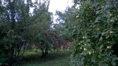 Лот: 9594315. Фото: 1. Продам Дачу (Кузнецовское плато... Дачи