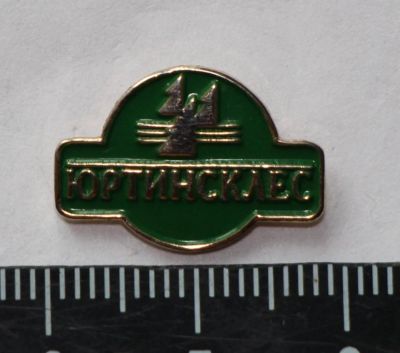 Лот: 11246805. Фото: 1. Тяжелый значок: Юртинсклес. Иркутск... Сувенирные