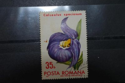 Лот: 3962686. Фото: 1. марка 92 Румыния 1971 флора 3. Марки