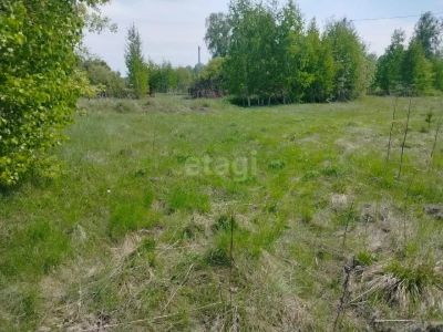 Лот: 25291400. Фото: 1. участок , Сосновоборск Сосновоборск... Земельные участки