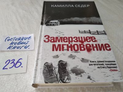 Лот: 17649827. Фото: 1. ок. Седер Камилла Замерзшее мгновение... Художественная
