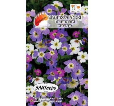 Лот: 11025385. Фото: 1. Малькольмия Пышный ковер 0,3гр... Садовые цветы