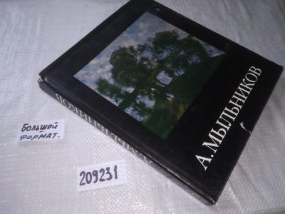 Лот: 20844893. Фото: 1. oz ...(209231) Каганович, А.Л... Искусствоведение, история искусств