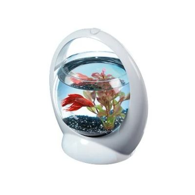 Лот: 7006440. Фото: 1. Аквариум Tetra Betta Ring для... Аквариумы, террариумы